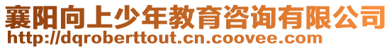 襄陽向上少年教育咨詢有限公司
