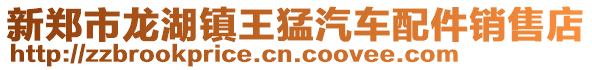新鄭市龍湖鎮王猛汽車配件銷售店