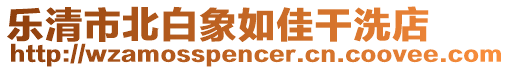 樂清市北白象如佳干洗店