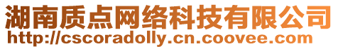 湖南質點網絡科技有限公司