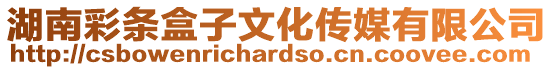 湖南彩條盒子文化傳媒有限公司