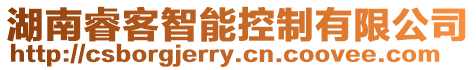 湖南睿客智能控制有限公司