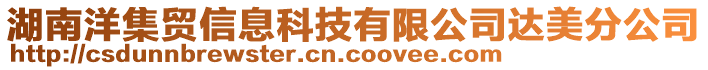 湖南洋集貿(mào)信息科技有限公司達(dá)美分公司