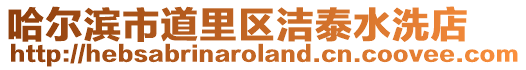 哈爾濱市道里區潔泰水洗店