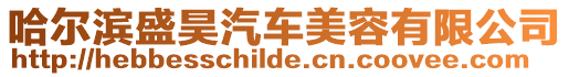 哈爾濱盛昊汽車美容有限公司