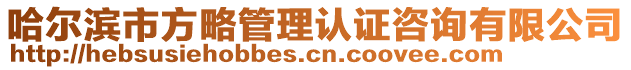 哈爾濱市方略管理認(rèn)證咨詢有限公司