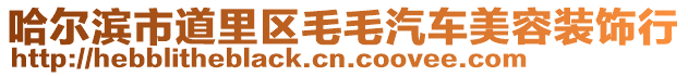 哈爾濱市道里區毛毛汽車美容裝飾行