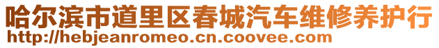 哈爾濱市道里區春城汽車維修養護行