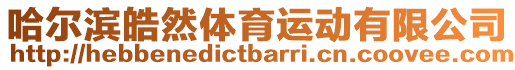 哈爾濱皓然體育運動有限公司