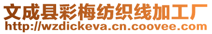 文成縣彩梅紡織線加工廠