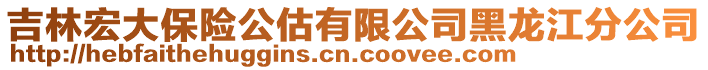 吉林宏大保險(xiǎn)公估有限公司黑龍江分公司
