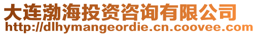 大連渤海投資咨詢有限公司