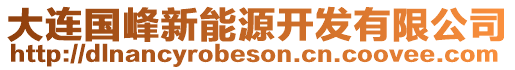 大連國峰新能源開發(fā)有限公司