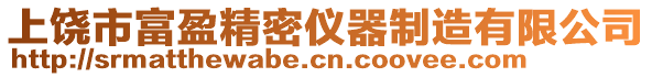 上饒市富盈精密儀器制造有限公司