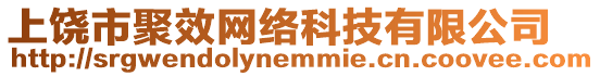 上饒市聚效網絡科技有限公司