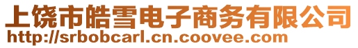 上饒市皓雪電子商務有限公司