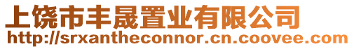 上饒市豐晟置業有限公司