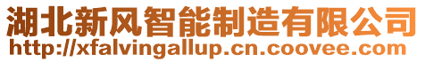 湖北新風(fēng)智能制造有限公司