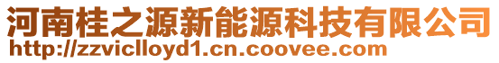 河南桂之源新能源科技有限公司