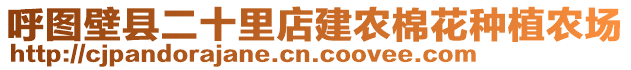 呼圖壁縣二十里店建農(nóng)棉花種植農(nóng)場(chǎng)