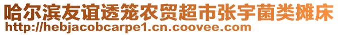 哈爾濱友誼透籠農(nóng)貿(mào)超市張宇菌類攤床