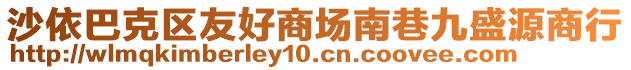 沙依巴克區(qū)友好商場南巷九盛源商行