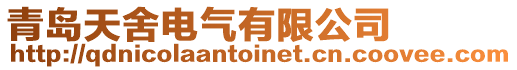 青島天舍電氣有限公司