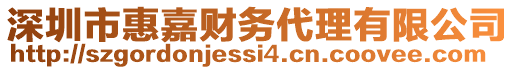 深圳市惠嘉財(cái)務(wù)代理有限公司