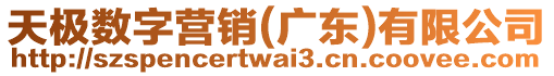 天極數字營銷(廣東)有限公司