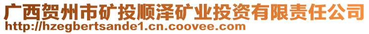 廣西賀州市礦投順澤礦業投資有限責任公司