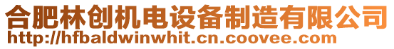 合肥林創(chuàng)機(jī)電設(shè)備制造有限公司