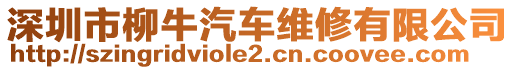 深圳市柳牛汽車維修有限公司