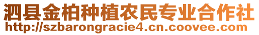 泗縣金柏種植農(nóng)民專業(yè)合作社