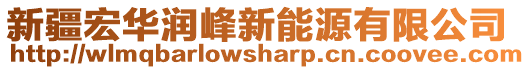 新疆宏華潤峰新能源有限公司