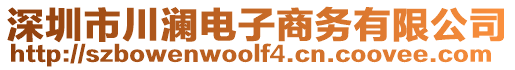 深圳市川瀾電子商務(wù)有限公司