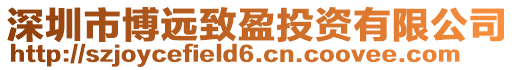 深圳市博遠致盈投資有限公司