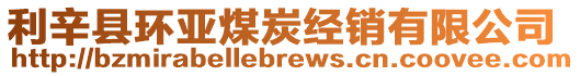 利辛縣環(huán)亞煤炭經(jīng)銷有限公司