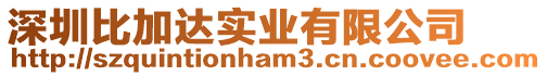深圳比加達實業有限公司