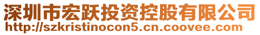 深圳市宏躍投資控股有限公司