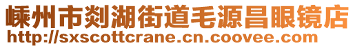 嵊州市剡湖街道毛源昌眼鏡店