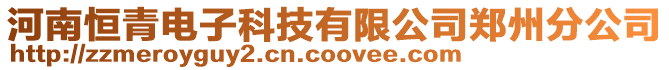 河南恒青電子科技有限公司鄭州分公司