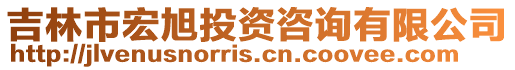 吉林市宏旭投資咨詢有限公司