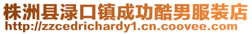 株洲縣淥口鎮(zhèn)成功酷男服裝店