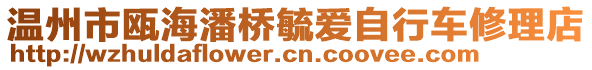 溫州市甌海潘橋毓愛自行車修理店