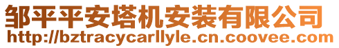 鄒平平安塔機安裝有限公司