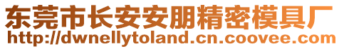 東莞市長安安朋精密模具廠