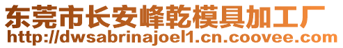 東莞市長安峰乾模具加工廠