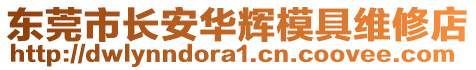 東莞市長安華輝模具維修店