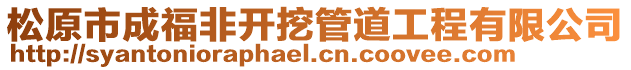 松原市成福非開挖管道工程有限公司