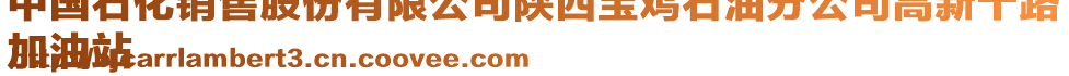 中國(guó)石化銷售股份有限公司陜西寶雞石油分公司高新十路
加油站